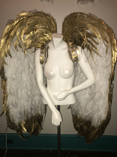 Custom Pageant Wings, Starting at $450. (contact me) :)