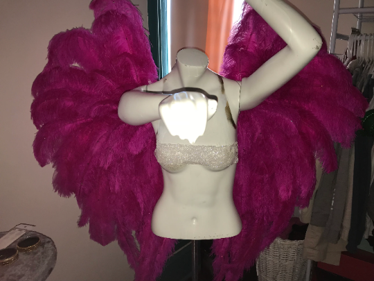 Custom Pageant Wings, Starting at $450. (contact me) :)