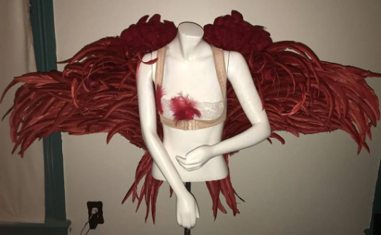 Custom Pageant Wings, Starting at $450. (contact me) :)