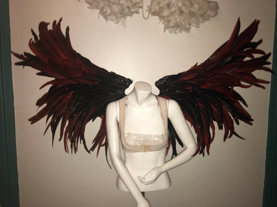 Custom Pageant Wings, Starting at $450. (contact me) :)