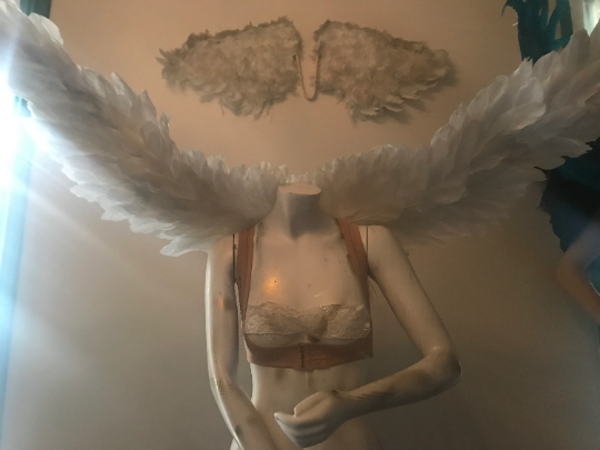 Custom Pageant Wings, Starting at $450. (contact me) :)