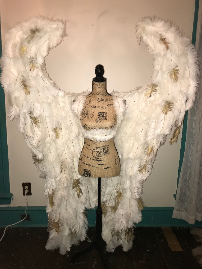 Custom Pageant Wings, Starting at $450. (contact me) :)