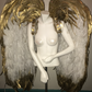 Custom Pageant Wings, Starting at $450. (contact me)  :)