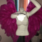 Custom Pageant Wings, Starting at $450. (contact me)  :)