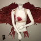 Custom Pageant Wings, Starting at $450. (contact me)  :)