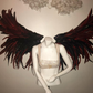Custom Pageant Wings, Starting at $450. (contact me)  :)